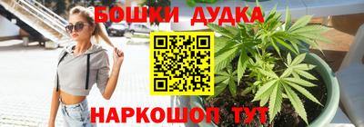 гидра Ставрополь