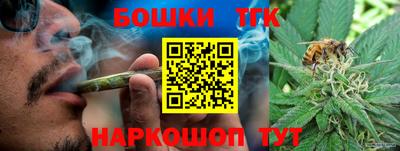 МДПВ Славгород