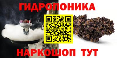 МДПВ Славгород