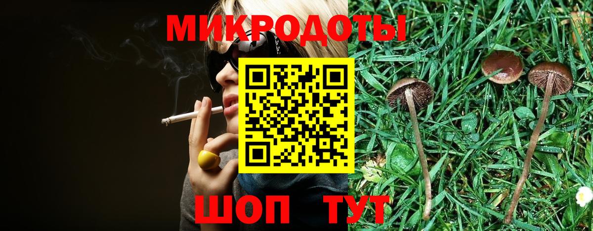 Псилоцибиновые грибы Psilocybe Острогожск
